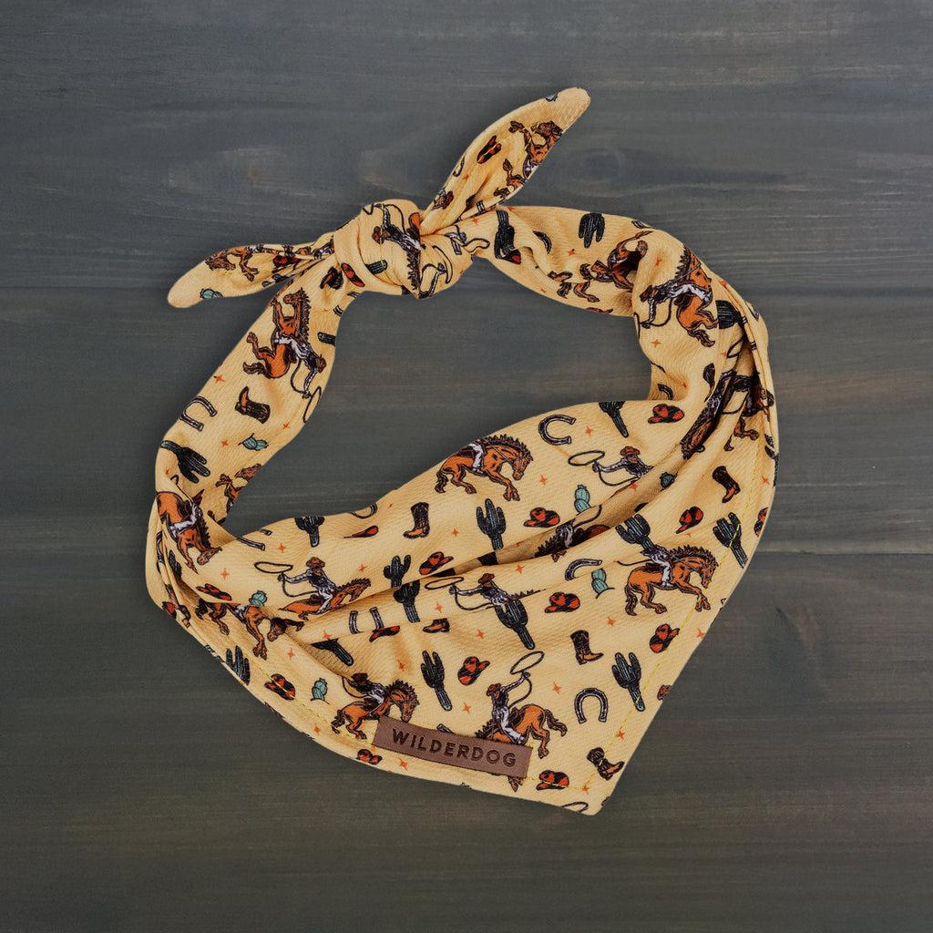 Yeehaw Bandana
