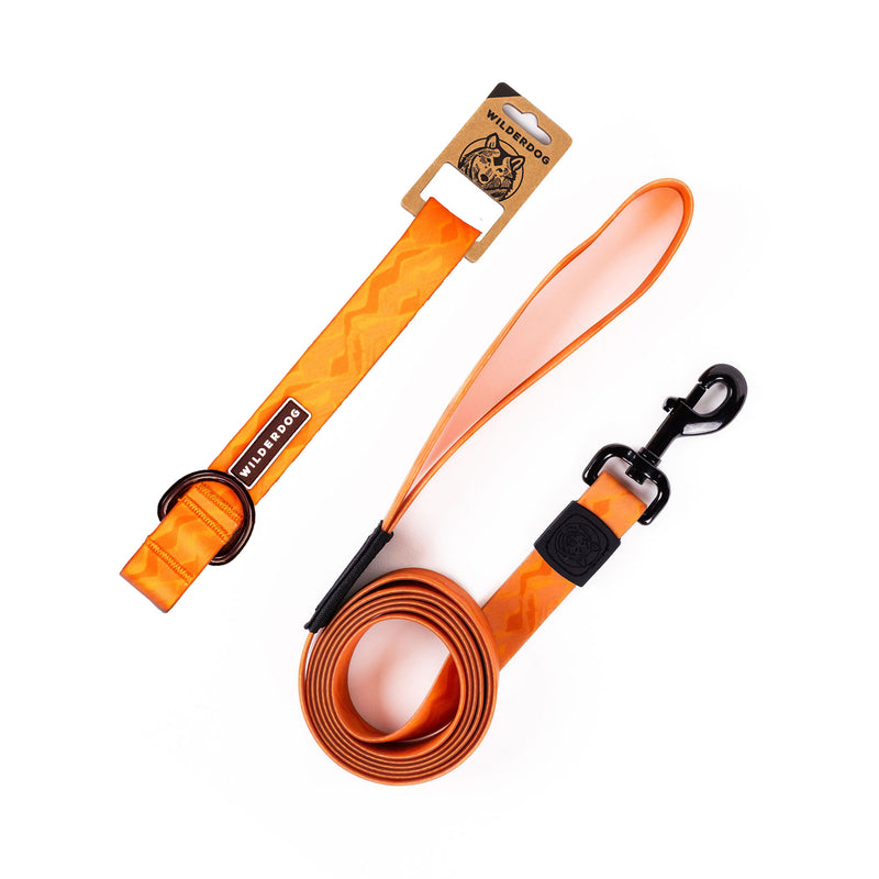The Terracotta Waterproof Leash + Collar Bundle features a stink-proof orange leash with zigzag pattern, black clasp, and padded handle, coiled beside matching packaging—ideal for fans of durable dog gear.