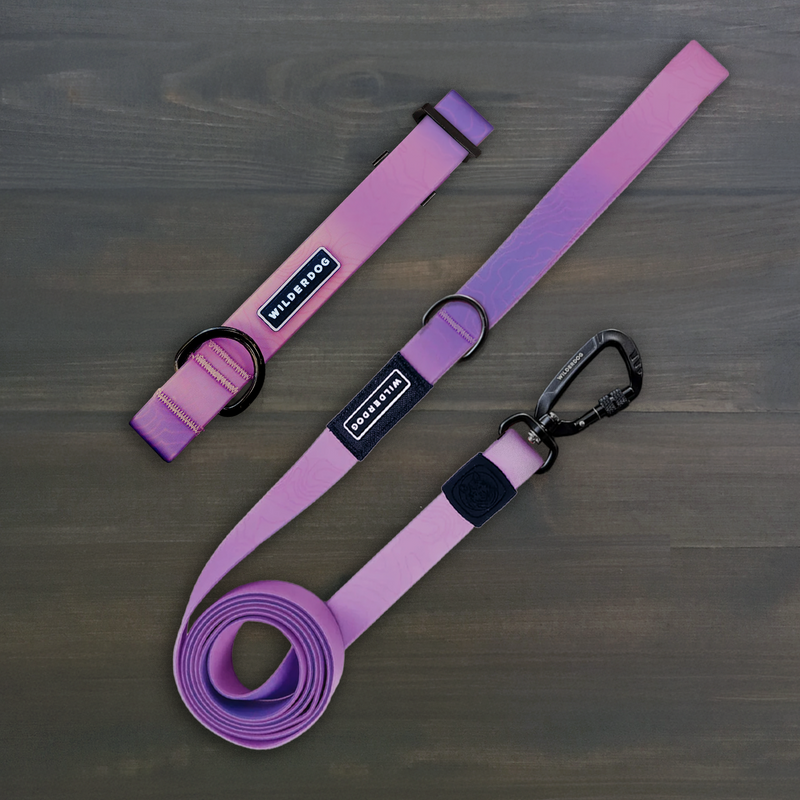 Two Aurora Waterproof Pro Leash + Collar Bundles with black clasps and “odourless” tags rest on a wooden surface.