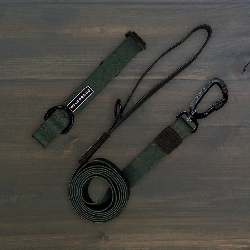 Cedar Waterproof Pro Leash + Collar Bundle with handle, carabiner, and strap shown on a wooden surface.