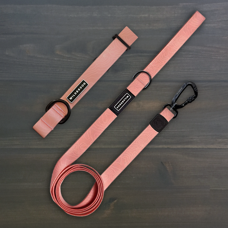 Guava Waterproof Pro Leash + Collar Bundle with black hardware displayed on a dark wooden surface.