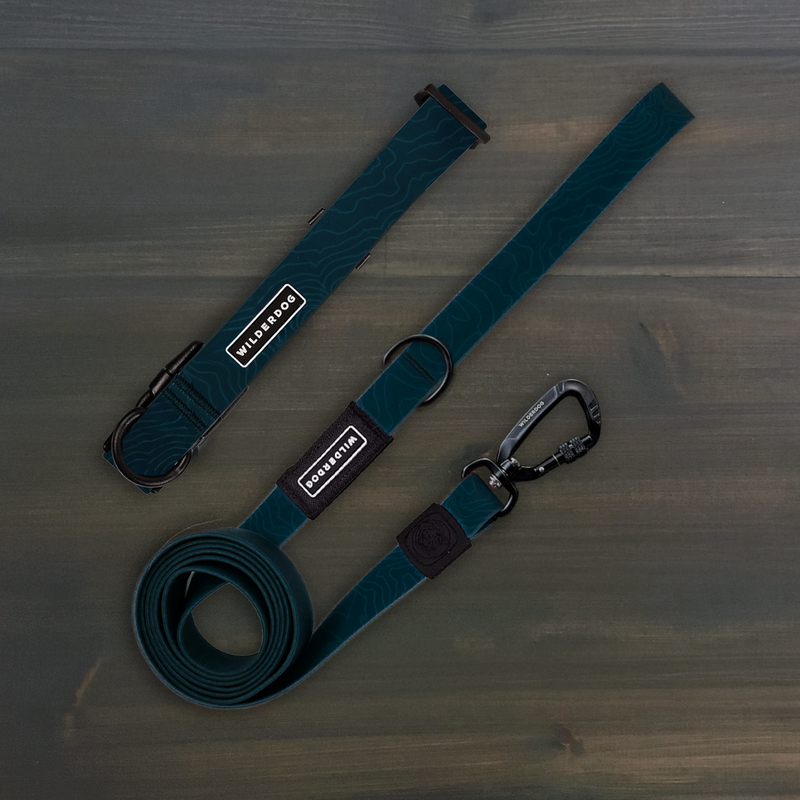 Pacific Blue Waterproof Pro Leash + Collar Bundle with black hardware, displayed on a dark wooden surface.