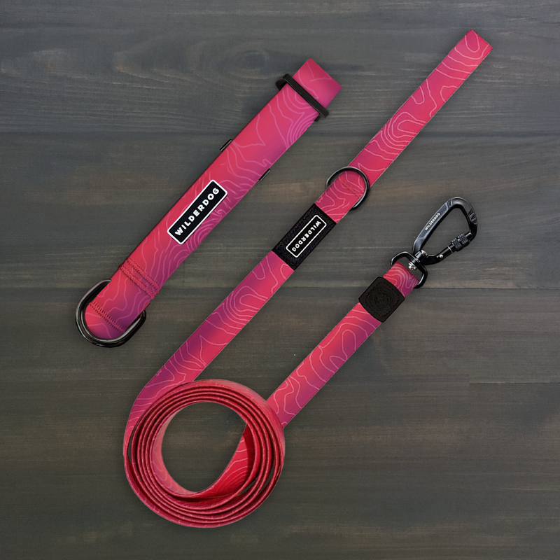 Plum Waterproof Pro Leash + Collar Bundle with topo design and metal clip shown on a dark wooden surface.