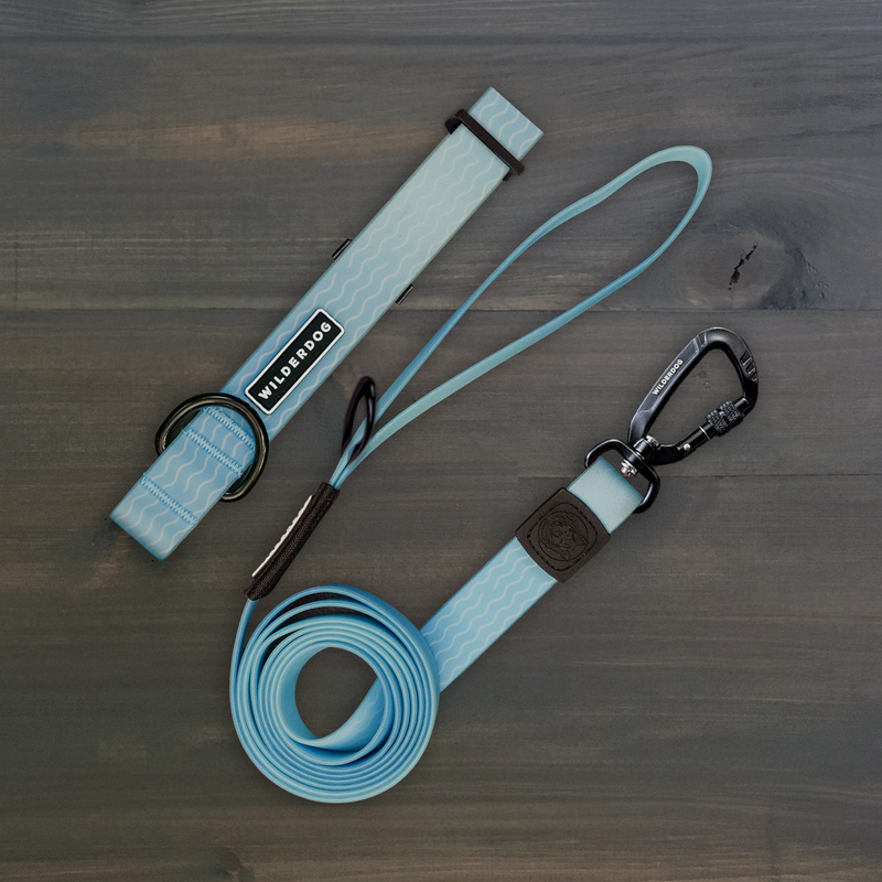 Saltwater Waterproof Pro Leash + Collar Bundle in light blue with wavy pattern, displayed on wood.