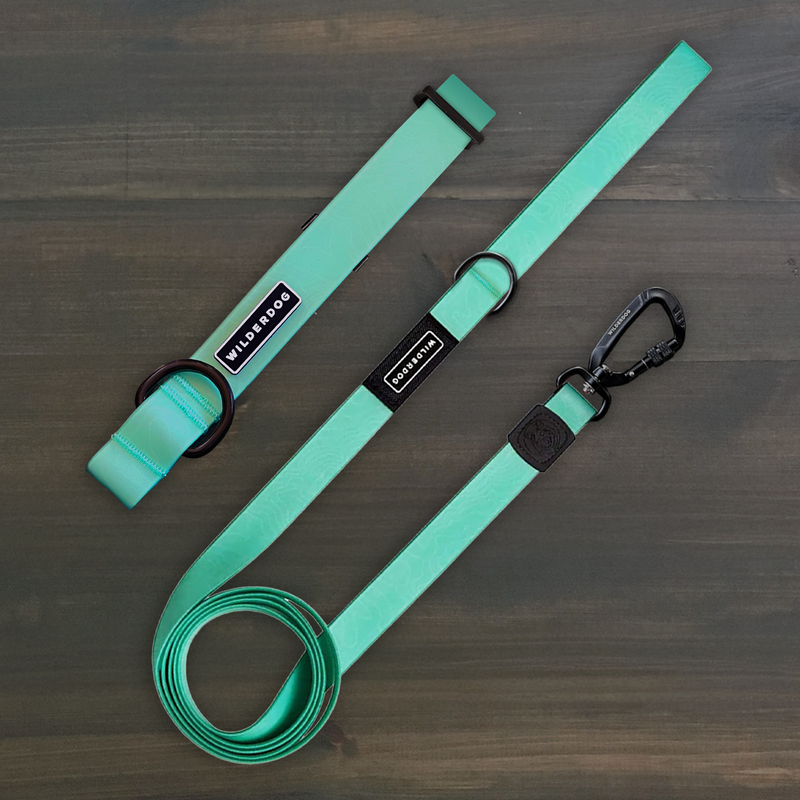 Two Seafoam Waterproof Pro Leash + Collar Bundles with black hardware, shown on a dark wooden surface.