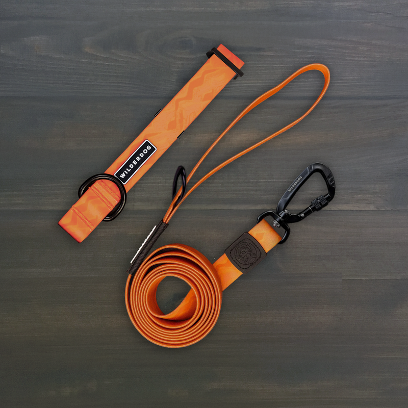 Terracotta Waterproof Pro Leash + Collar Bundle with black hardware displayed on a dark wooden surface.