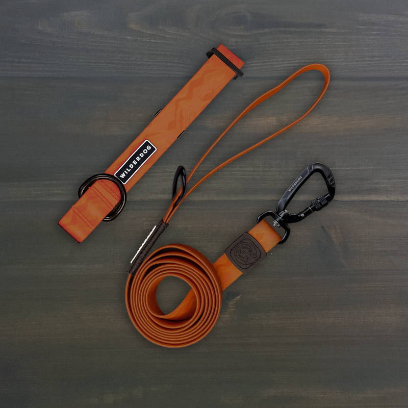Terracotta Waterproof Pro Leash + Collar Bundle with metal clip on a dark wooden surface.