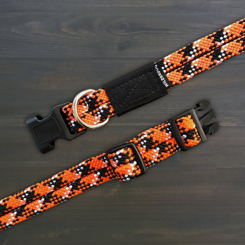 Wildcat Collar
