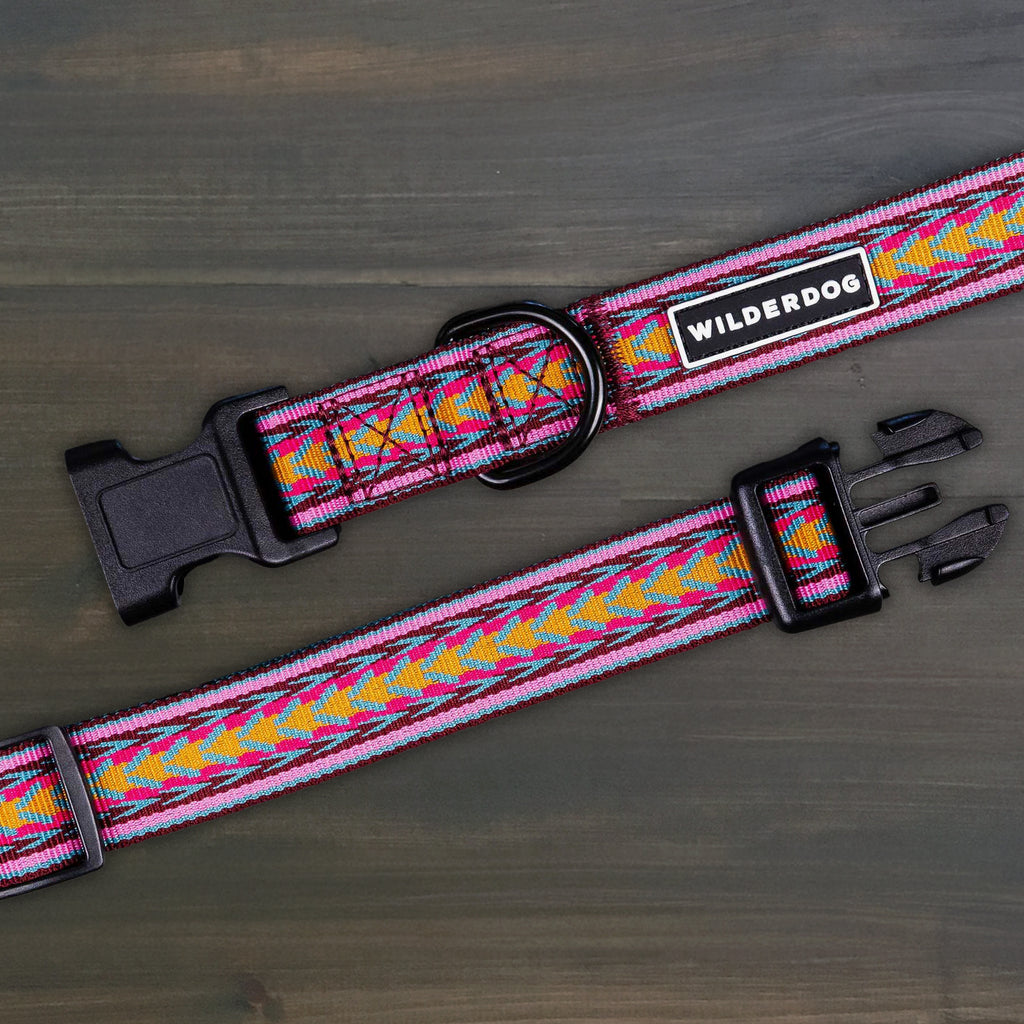 Daybreak Ultralight Collar – Wilderdog