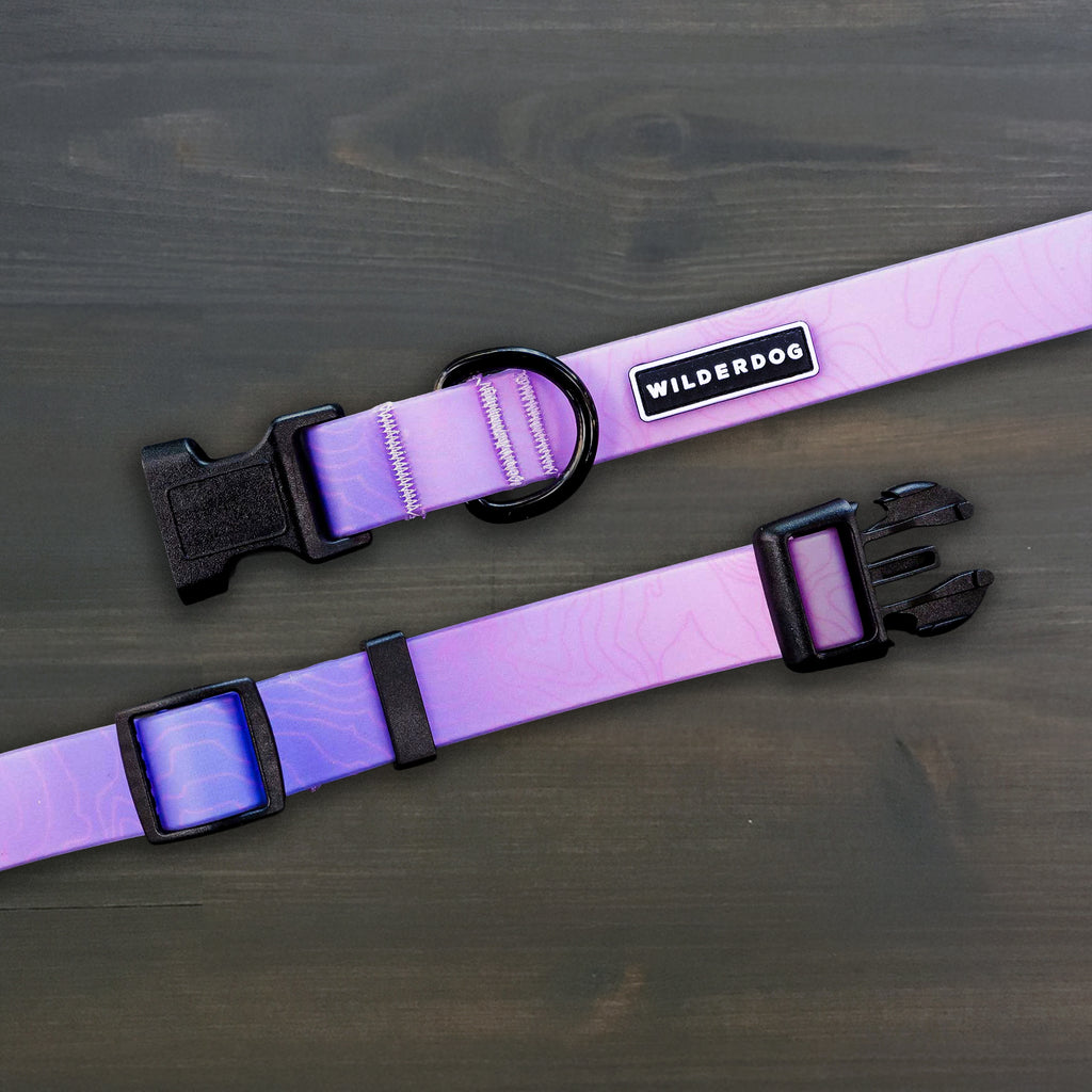 Aurora Waterproof Collar