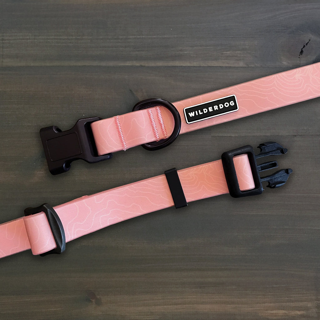 Guava Waterproof Collar