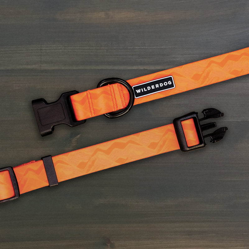 Two Terracotta Waterproof Collars with plastic buckles, black hardware, and Wilderdog label, on dark wood.