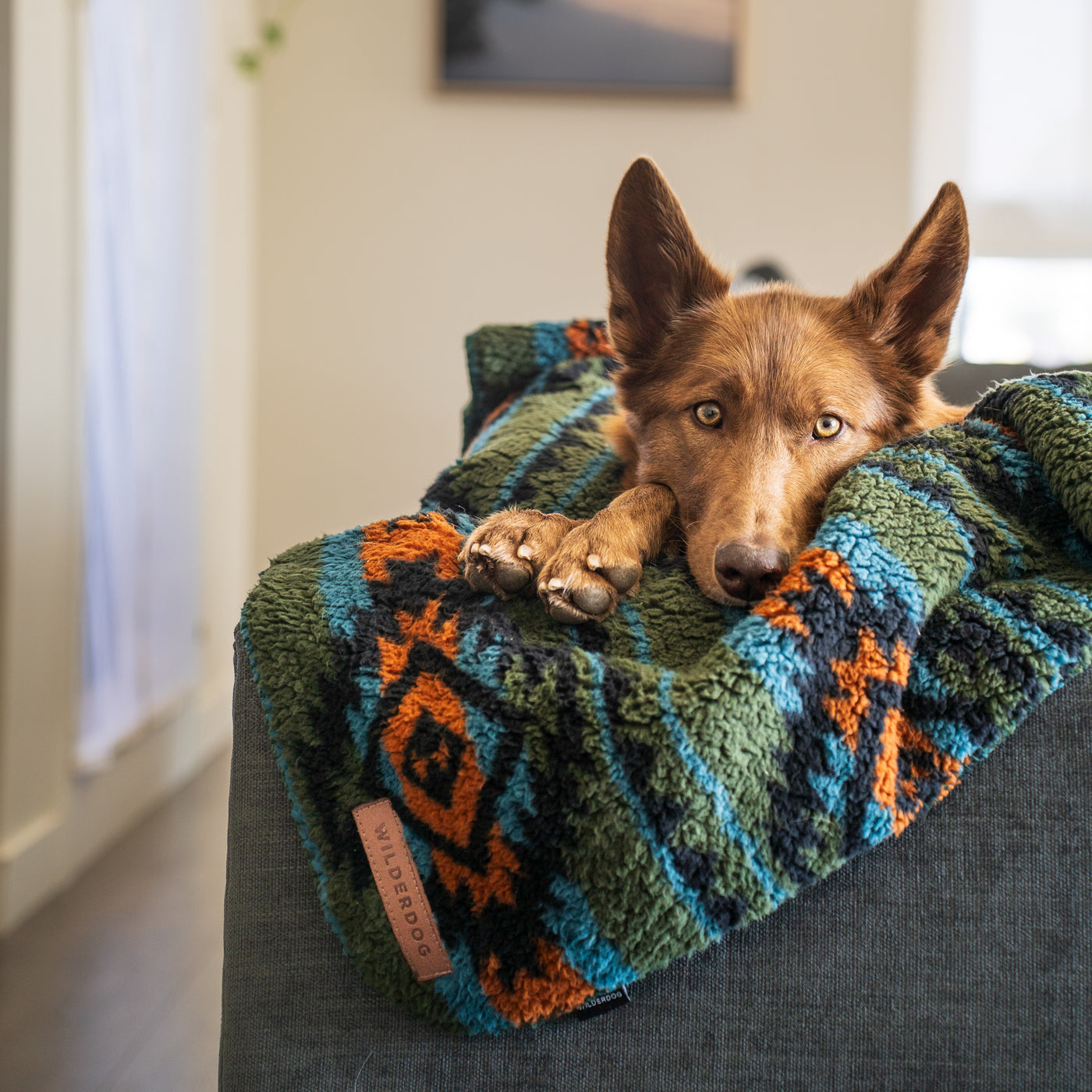 Sherpa Fleece Waterproof Blanket