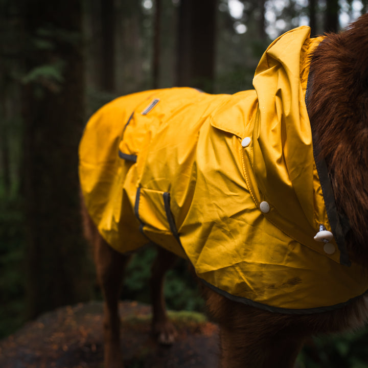best rain gear for dogs Dog Rain Jacket – Wilderdog