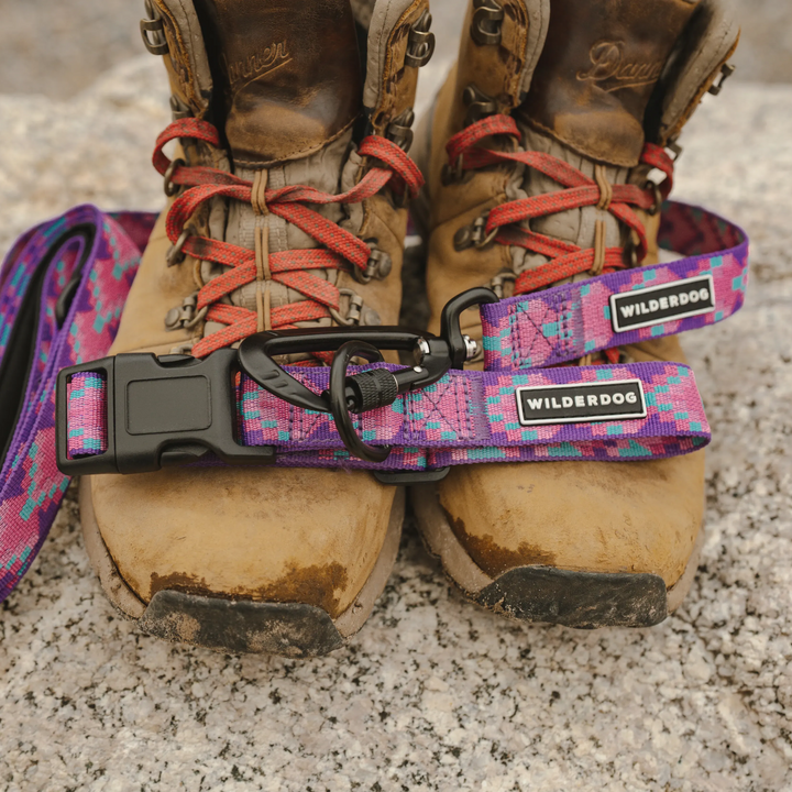 Lupin Ultralight Leash – Wilderdog