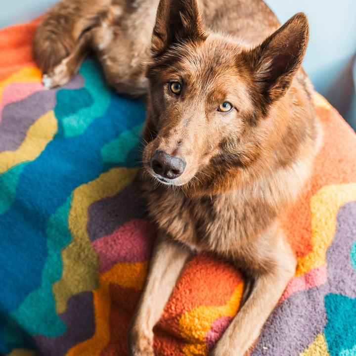 Sherpa Fleece Waterproof Blanket – Wilderdog