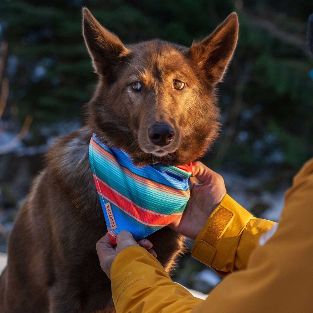 Canyon Bandana – Wilderdog