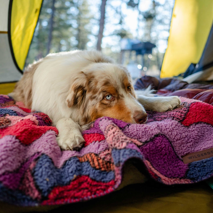 Sherpa Fleece Waterproof Blanket – Wilderdog