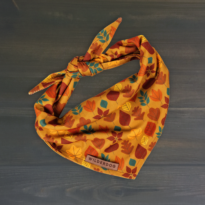 Hickory Bandana—orange, quick-dry with autumn leaves, knotted on dark wood. “Wilderdog” label shows.