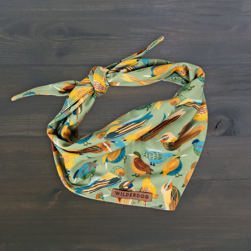 Birder Bandana with colorful birds, tied at the top, displayed on a dark wooden surface.