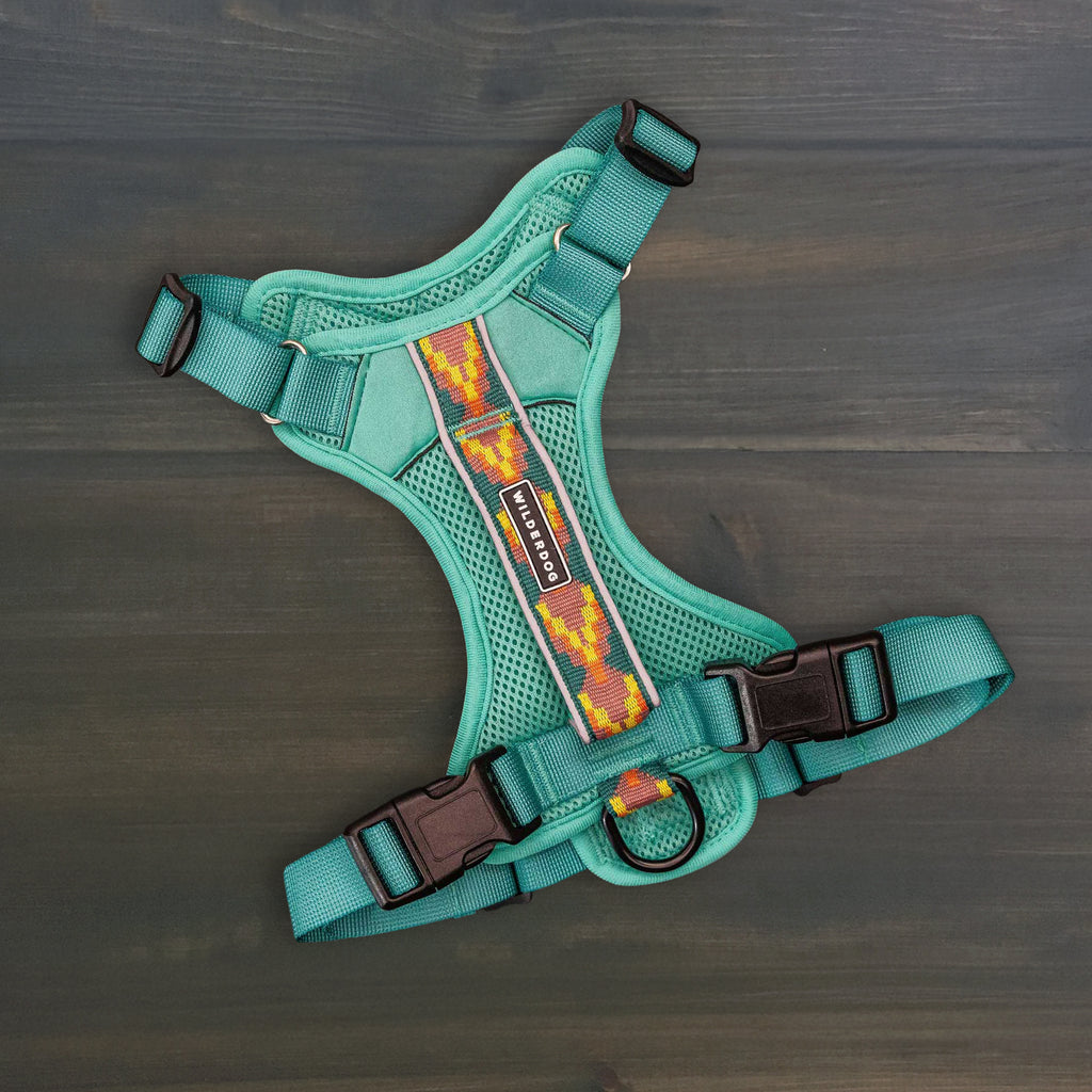 Dog Harness