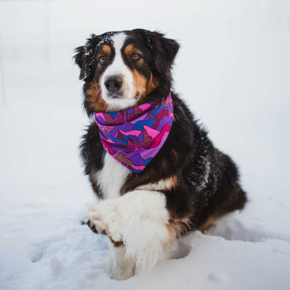 Canyon Bandana – Wilderdog