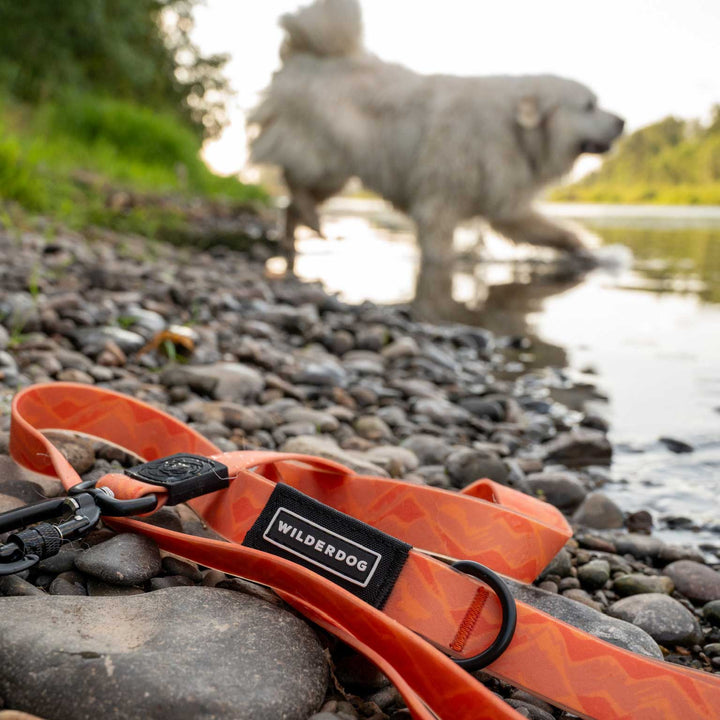 Terracotta Waterproof Pro Leash – Wilderdog