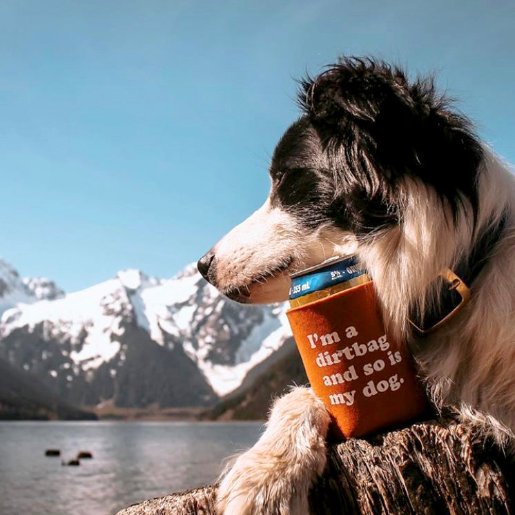 A black and white dog rests its head on a can in an orange Party Dog Koozie that reads "I'm a dirtbag and so is my dog," with snowy mountains and a lake in the background.