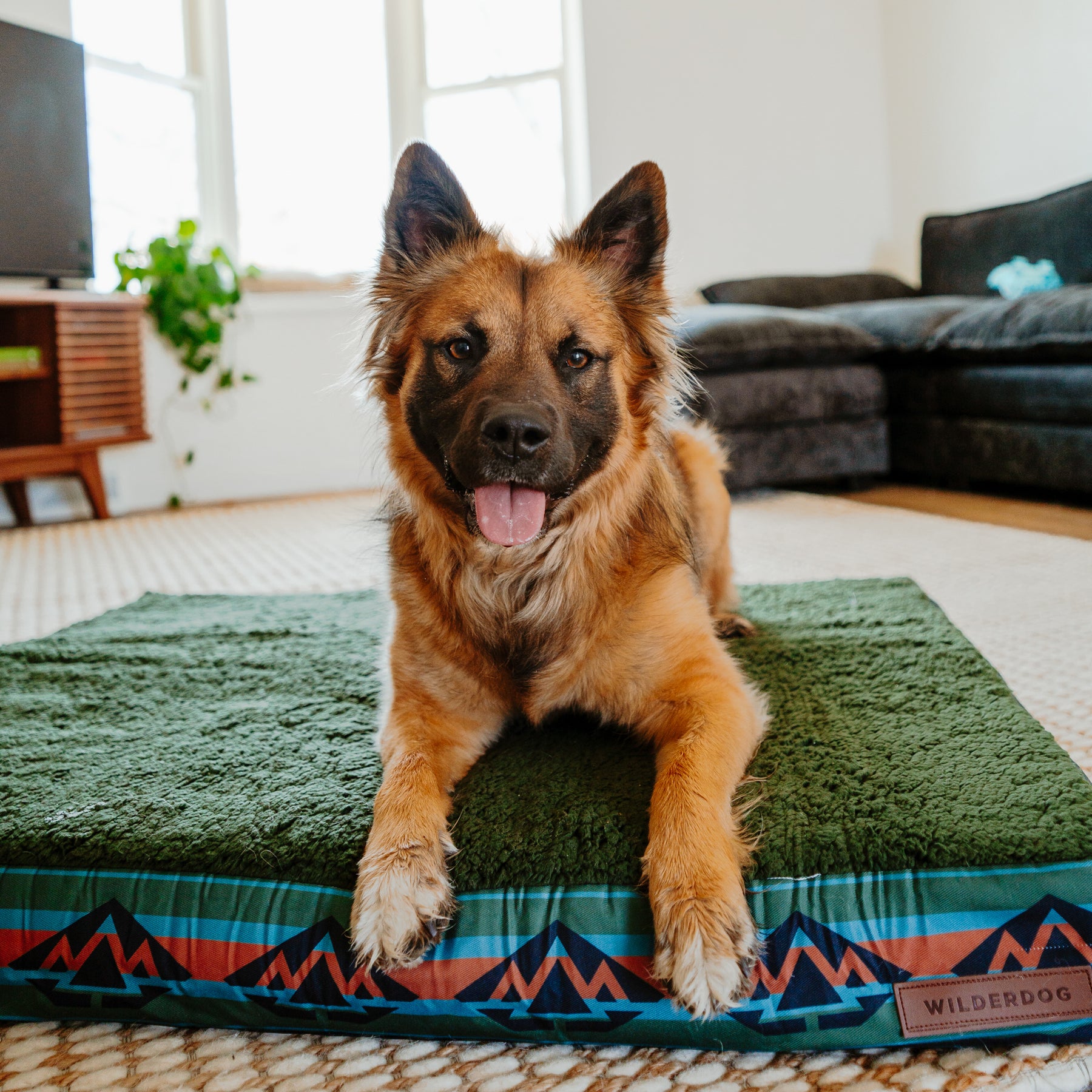 Memory Foam Dog Bed – Wilderdog