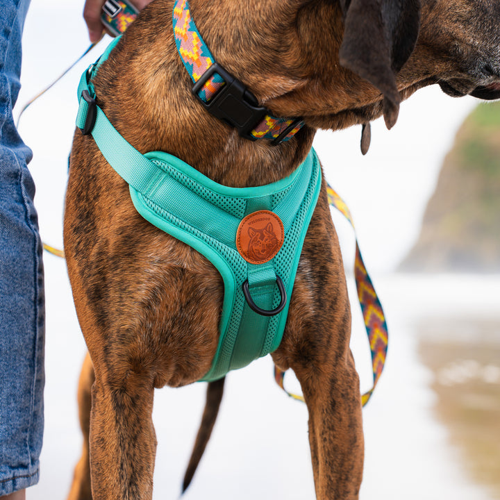Dog Harness – Wilderdog