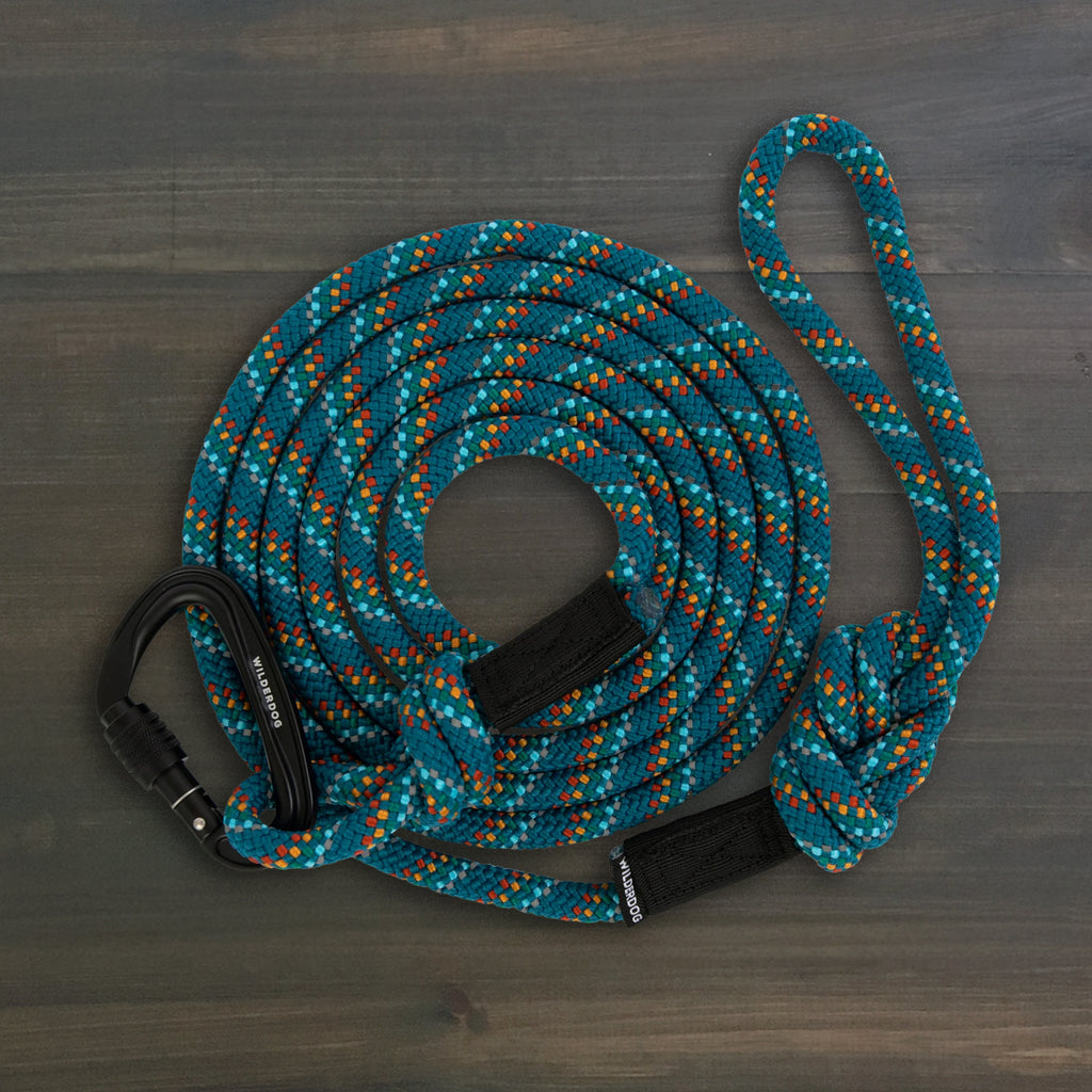 Big Carabiner Rope Leash