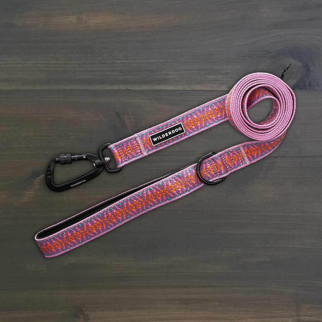 Ultralight Leash