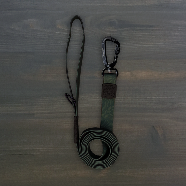 Cedar Waterproof Pro Leash – Wilderdog