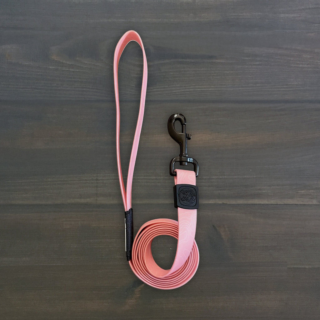 Guava Waterproof Leash
