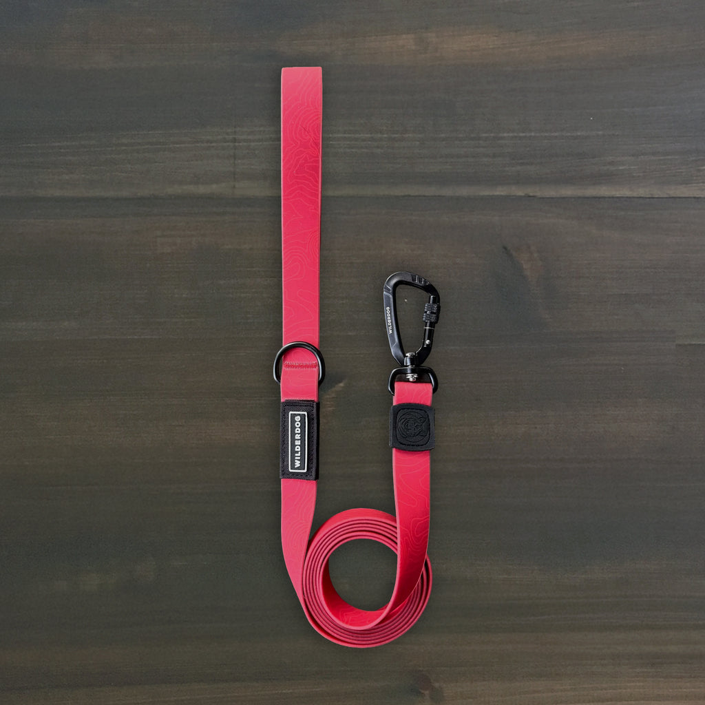 Waterproof Pro Leash