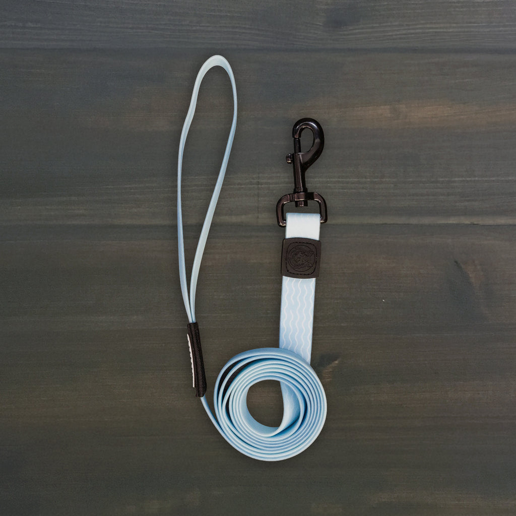 Saltwater Waterproof Leash