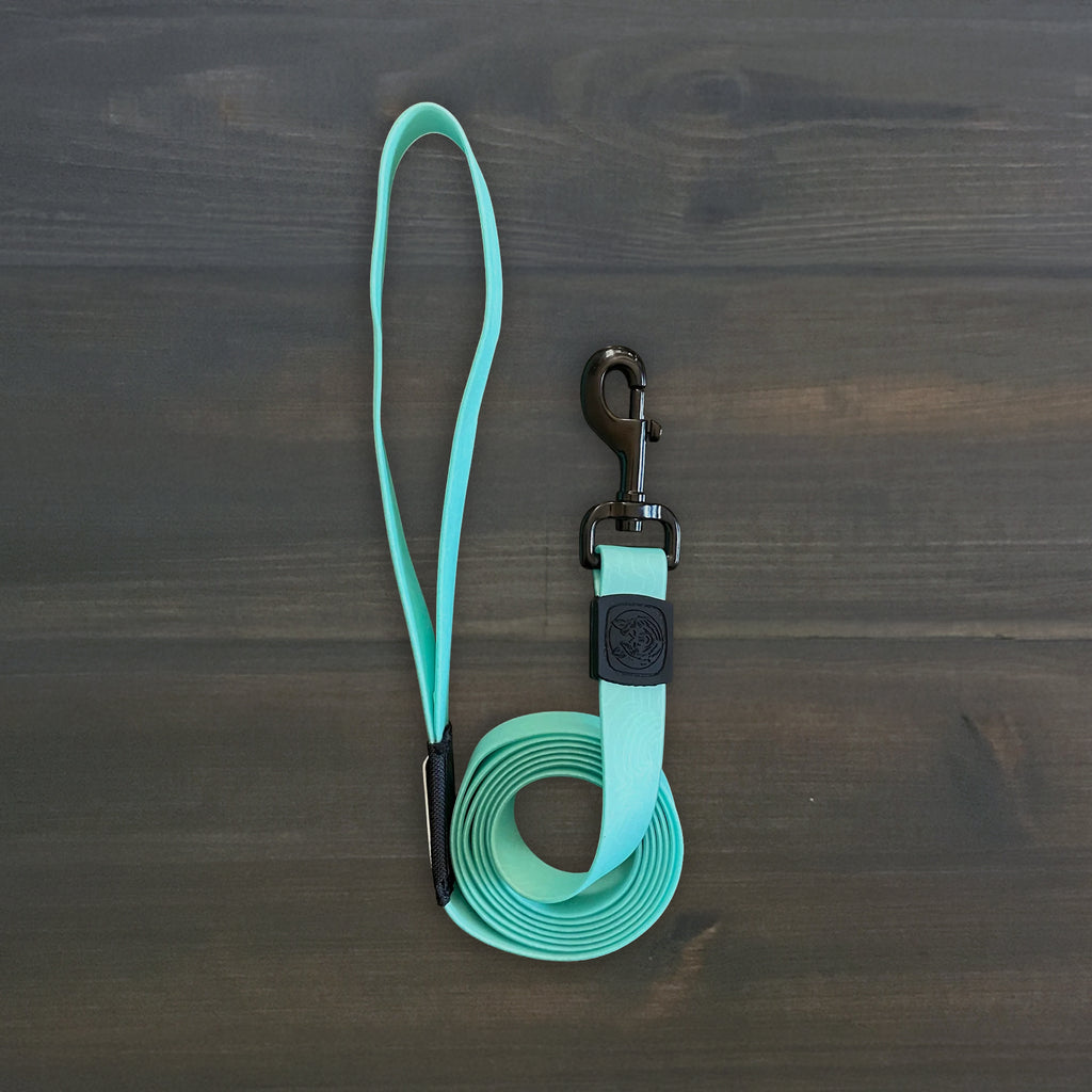 Seafoam Waterproof Leash