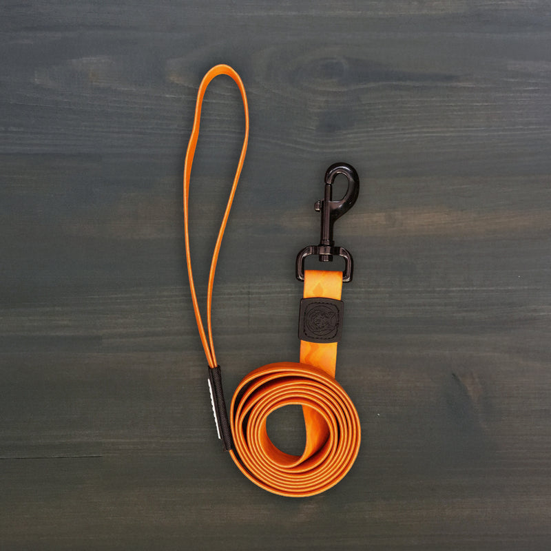 Terracotta Waterproof Leash