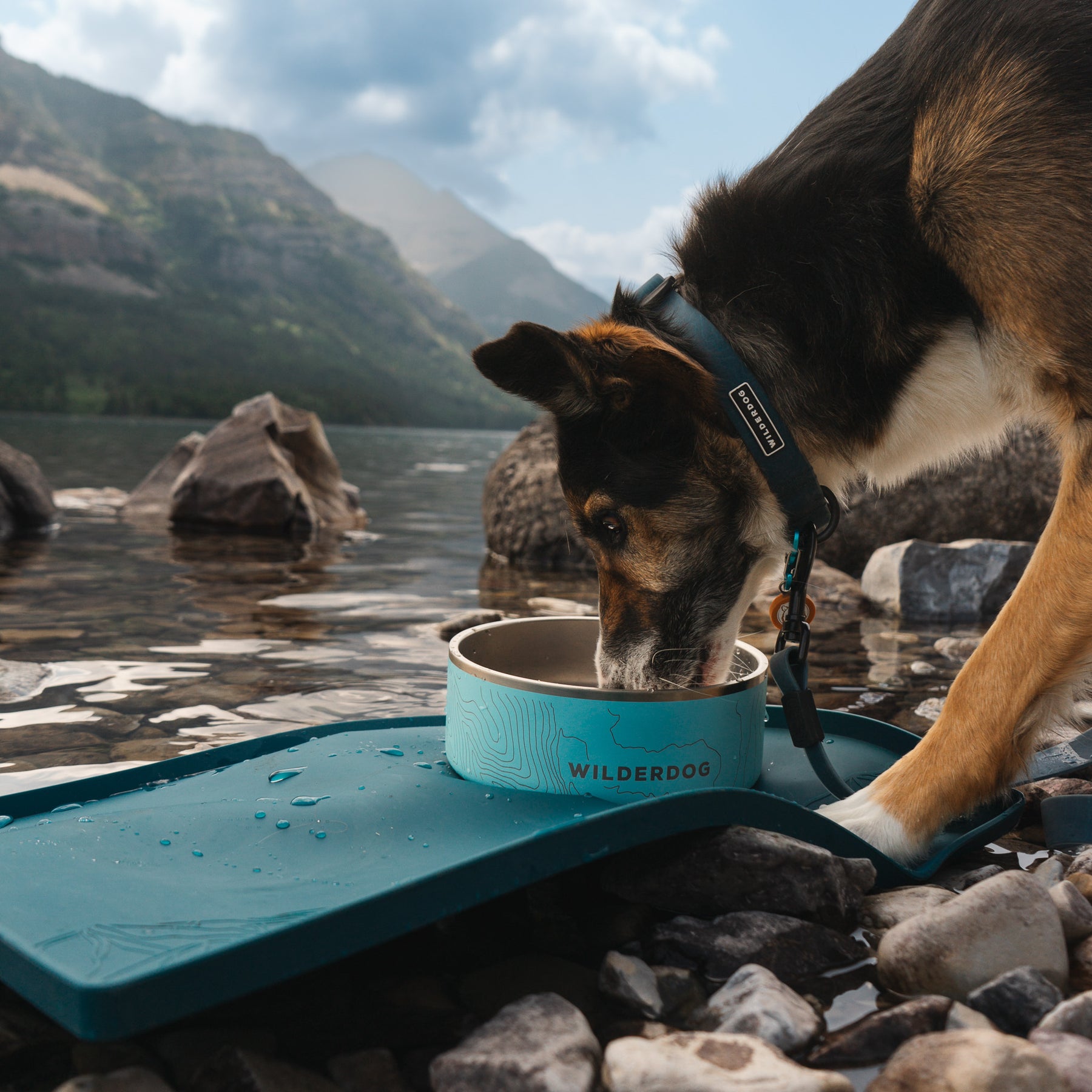 Dog dish placemat cheap