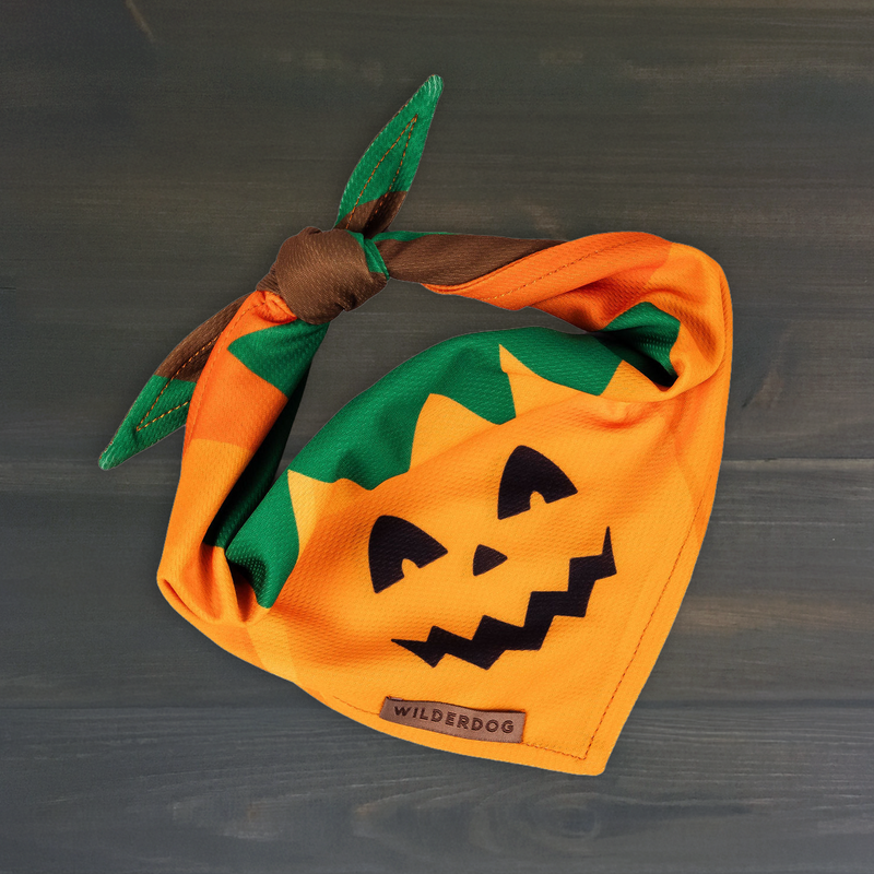 Pumpkin Bandana: Lightweight polyester with jack-o’-lantern face—ideal festive cooling accessory for dogs.