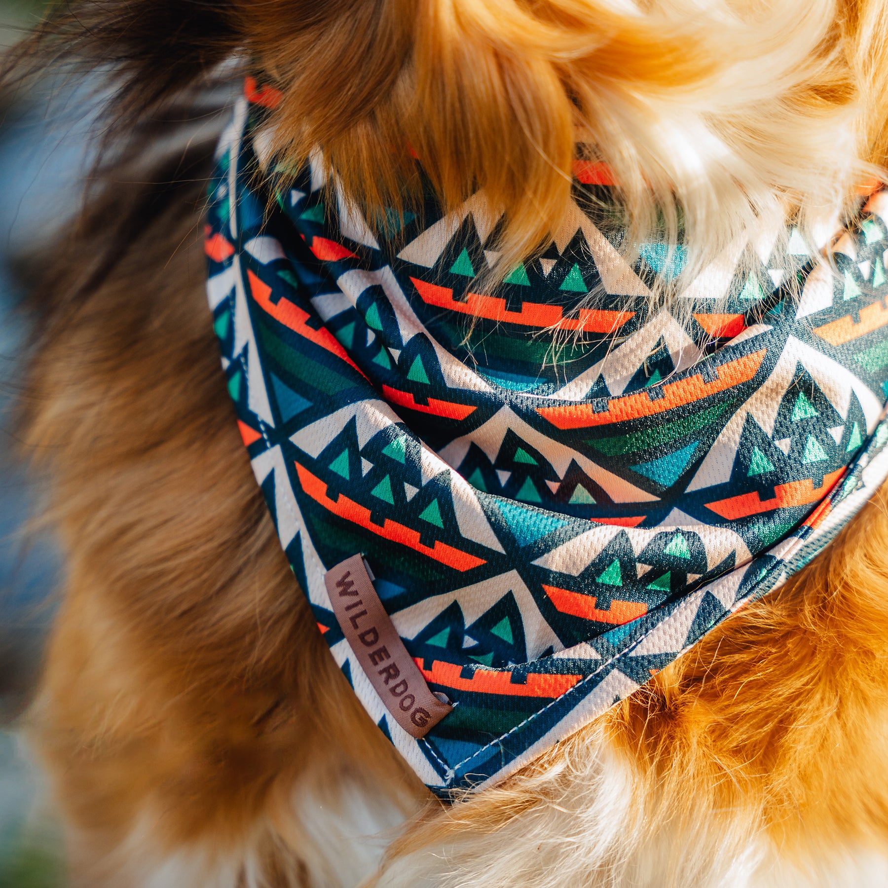 Wilder bandanas and collars hotsell