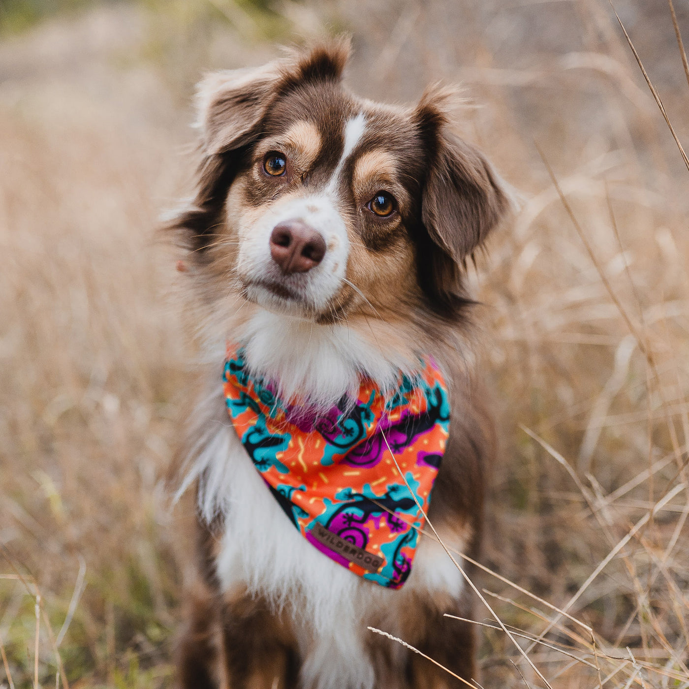 The Lizards Bandana