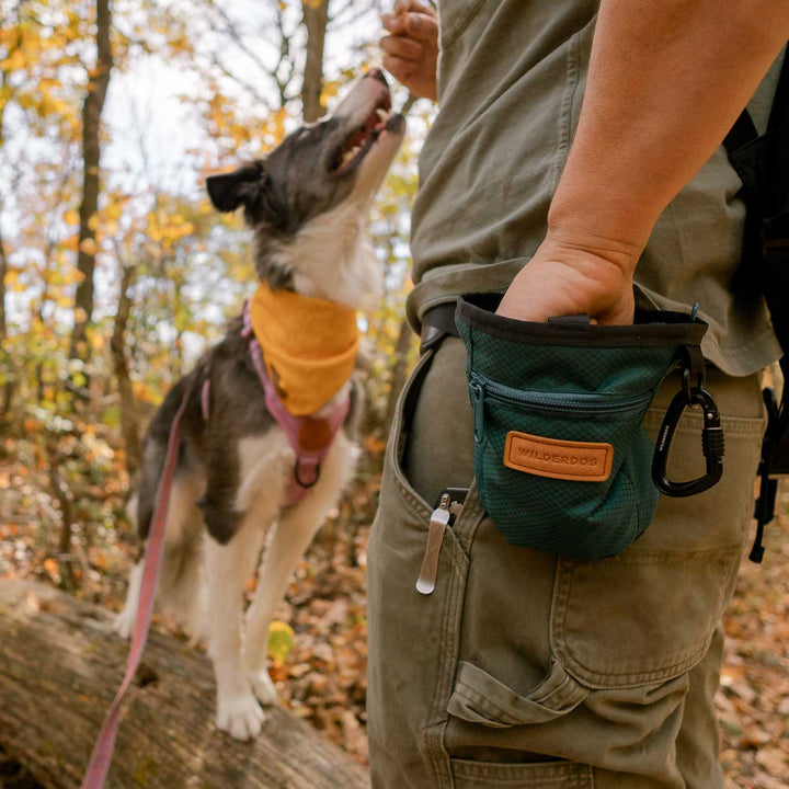 Poop Bag Dispenser Best Dog Training Treat Bag Dog Training Treat