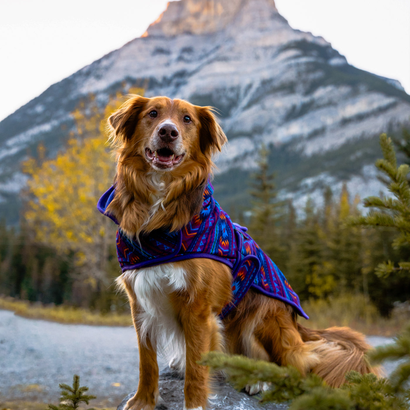 Big Sky Fleece Jacket