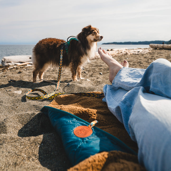 Picnic Blanket – Wilderdog
