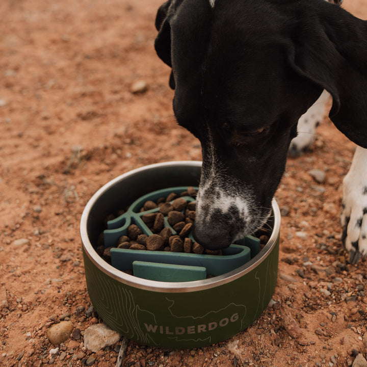 Silicone Slow Feeder Insert – Wilderdog