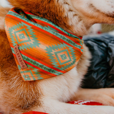 Sonora Bandana