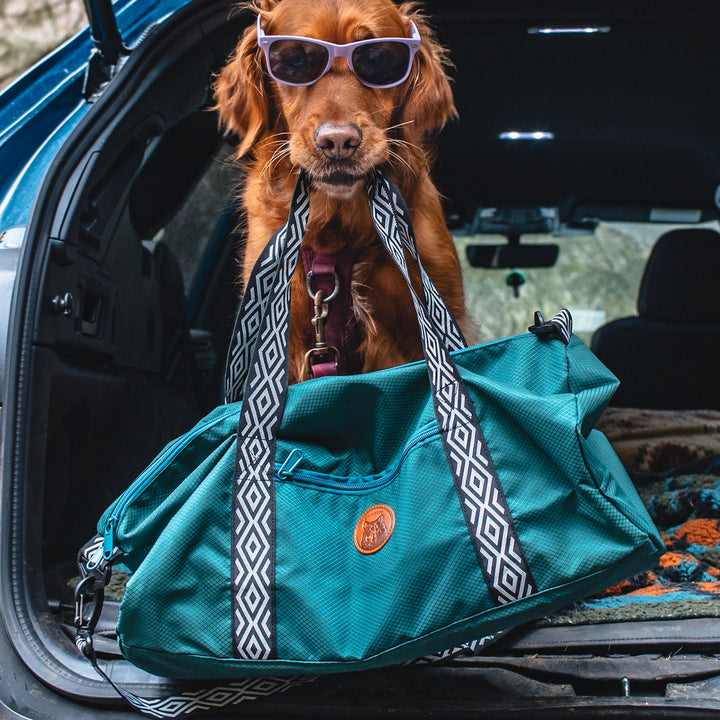 Wilderdog