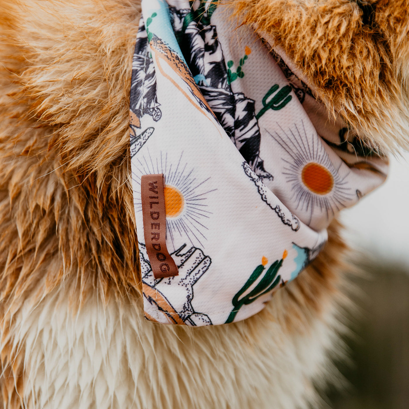 Laredo Bandana – Wilderdog