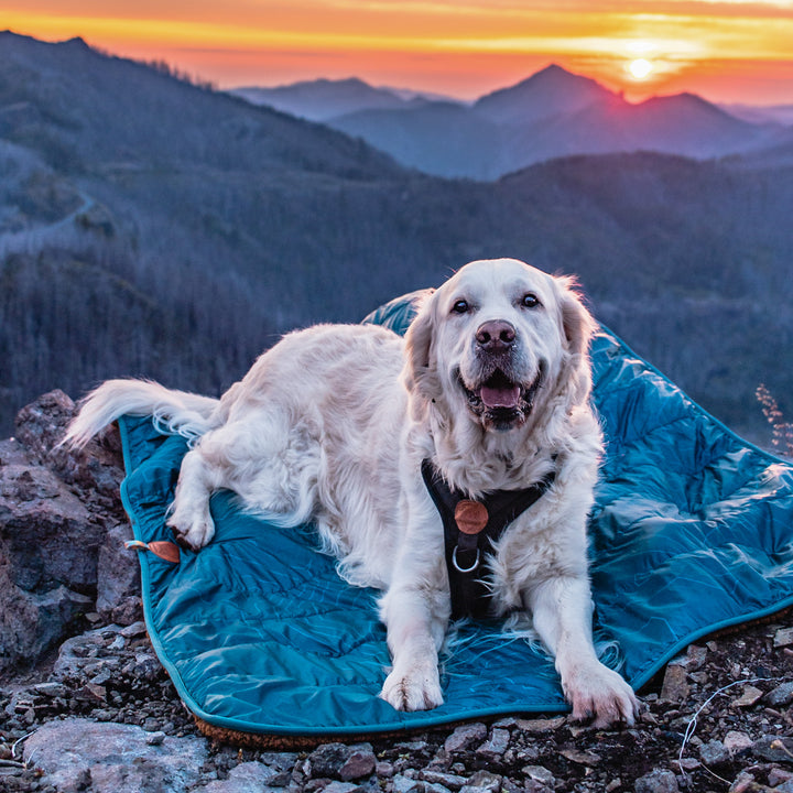 Picnic Blanket – Wilderdog